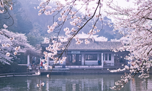 NO SHOP - THƯỢNG HẢI - VÔ TÍCH - Ô TRẤN - HÀNG ...