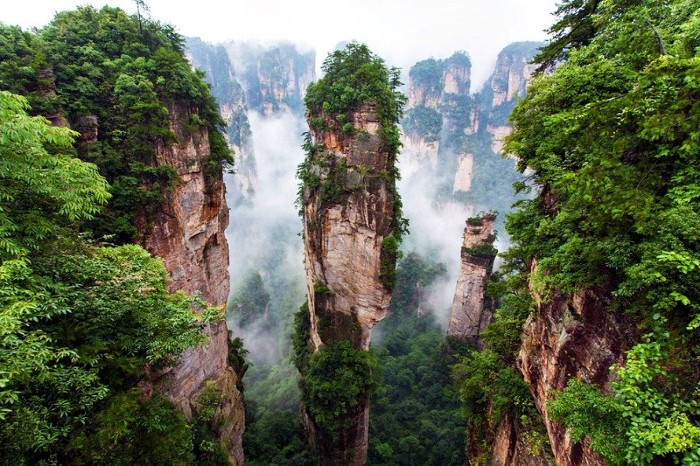 ÂN THI-PHƯỢNG HOÀNG CỔ TRẤN-TRƯƠNG GIA GIỚI ...