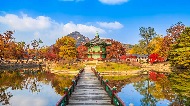 HÀN QUỐC MÙA HOA ANH ĐÀO -BAY T'WAY