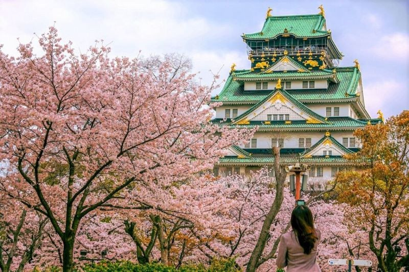 OSAKA – KOBE – KYOTO – NAGOYA YAMANASHI – TOKYO