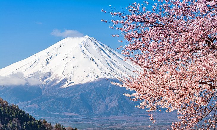MÙA HÈ NHẬT BẢN: YAMANASHI –FUJI – TOKYO – ...